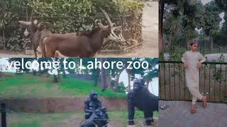 Aaj main zoo main ghomny gya😍 [upl. by Arihas]