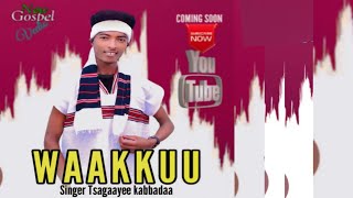 Waakkuu Singer Tsagayee Kabbadaa Faarfanna Afaan Oromoo Haraa New Gospel Music [upl. by Stafani]