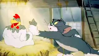 Tom And Jerry New Episode 2024 [upl. by Nylakcaj]