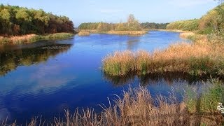 Sopron Fertöto Neusiedlersee [upl. by Nylireg]