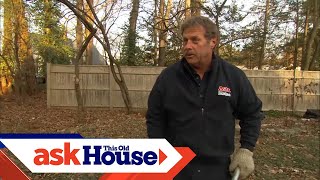 How to Remove Tree Stumps  Ask This Old House [upl. by Aralk675]