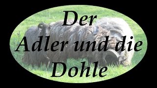 Aesop Der Adler und die Dohle  ElstersLesehöhle [upl. by Angie]