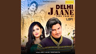 Delhi Jaane Tere Yaar Ne Lofi [upl. by Notterb873]