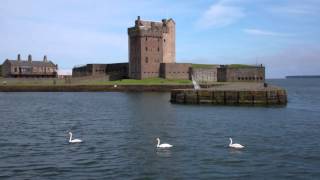 Swans Broughty Castle Broughty Ferry Dundee Scotland [upl. by Millda908]