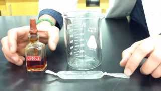 Diffusion Through a Membrane Lab  Part 1 making the model cell [upl. by Rebhun]