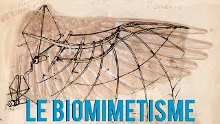 Le Biomimétisme cest quoi [upl. by Zola607]