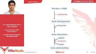 Antibióticos parte 3  Farmacología 7  Villamedic [upl. by Asilegna116]