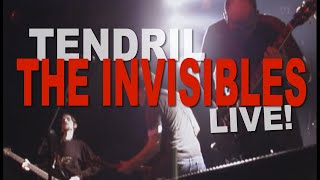 TENDRIL  The Invisibles  LIVE [upl. by Einnob]