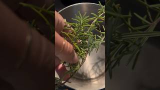 How To Make Rosemary Water The Ultimate Herbal Elixir [upl. by Shoifet869]