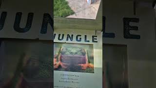 Jungle Photicular Book junglebook insects atlas [upl. by Ginelle396]