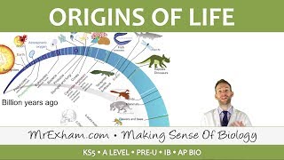 Origins of Life  LUCA endosymbiosis and multicellularity  Post 16 Biology A Level PreU IB [upl. by Goines]