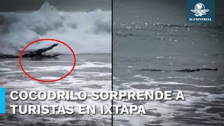 ¡Cocodrilo a la vista Sorprende animal a turistas en playa de Ixtapa Zihuatanejo [upl. by Yrneh]