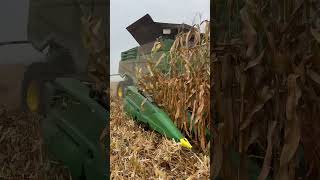 John Deere X9 1100 harvesting corn harvest agriculture machinery farming [upl. by Tarrance309]