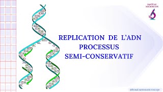 Réplication de lADN  1ère Spé SVT 2ème bac PC et SVT [upl. by Luehrmann176]