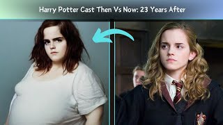 Harry Potter Cast 20012024  Where Are They Now [upl. by Zima]