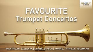 Favourite Trumpet Concertos [upl. by Nnaeoj]