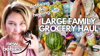 Weekly Grocery Haul With Prices For A Family Of 6  WALMART [upl. by Dedie816]