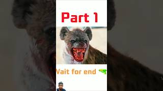 This mad dog is very dangrous 😱😱 animals shortsfeed viralshort [upl. by Loni]