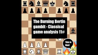 The Burning Bertin Gambit Classical game analysis 11 [upl. by Colline]