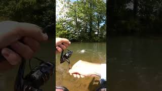 Big Fish eat NRV Baits Creek Bugz jesus shorts fish fishing trout fyp viral fypyoutube [upl. by Anerol]