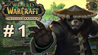 WOW World of Warcraft Pandaren Gameplay  Jogando de hunter com amigo shaman Lv 15 PTBR 1 [upl. by Alf661]