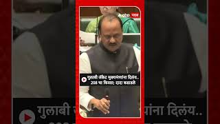 Ajit Pawar On Opposition  गुलाबी जॅकेट आज मुख्यमंत्र्यांना दिलंय208 चा किस्सा दादा कडाडले [upl. by Rheba]