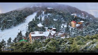 My Journey to Chréa Blida City Algeria [upl. by Ahsenaj848]