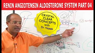 Renin Angiotensin Aldosterone System  RAAS Part 4👨‍⚕️ [upl. by Ahsienauq]