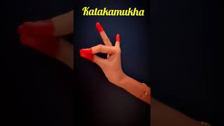 Asamyuktha hasta mudras part 2 [upl. by Kuth]