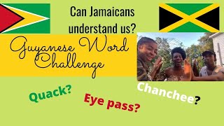 Guyanese word challenge with Jamaicans [upl. by Auqinal]