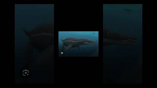 Otodus Chubutensis vs NHM Symphysis otodus nhmsymphysis shorts shortvideo pliosaurus [upl. by Nwahser]