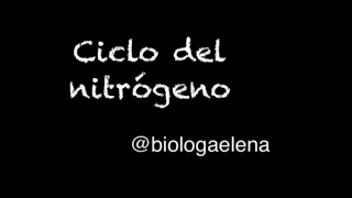 Ciclo del nitrógeno  Ciclos biogeoquímicos [upl. by Suanne]