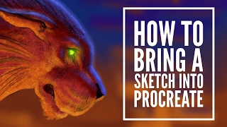 How to Bring a Sketch Into Procreate [upl. by Rawde]