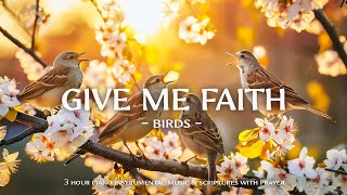 Give Me Faith  Instrumental Worship and Scriptures with Birds 🕊 Christian Instrumental [upl. by Rene]