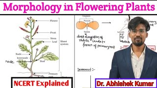 Morphology of Flowering PlantsBiology Class 11 ch5Neet 2025 [upl. by Stacy]