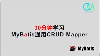 30分钟学习MyBatis通用CRUD Mapper mybatis crud java [upl. by Landrum]