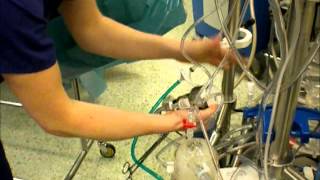 Clinical Perfusion  Setting up heartlung bypass machine [upl. by Barbaresi]