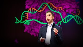 Can we cure genetic diseases by rewriting DNA  David R Liu [upl. by Eseuqcaj]