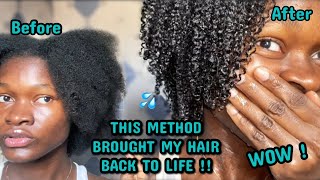 THIS METHOD BROUGHT MY HAIR BACK TO LIFE  I tried the MAXIMUM HYDRATION METHOD and I’m speechless [upl. by Aninad]