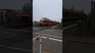 BR 644 der Deutsche Bahn am Bahnübergang in Grenzach deutschebahn trainspotting shorts yt [upl. by Itnahs965]