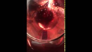 Sloe Gin  filtering [upl. by Jilly]