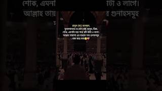 সুবাহানআল্লাহ shortvideo viralvideo islamicstatus subscribe [upl. by Ynattir]