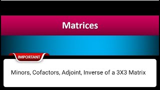 Minors Cofactors Adjoint Inverse of a 3X3 Matrix  Class 12th Hindi [upl. by Amairam]