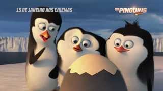 Os Pinguins de Madagascar  Spot de TV [upl. by Lyons]