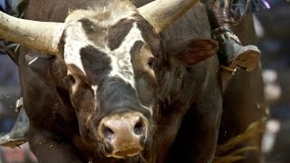 2014 PBR Season Recap World Champion Bushwacker [upl. by Merola]