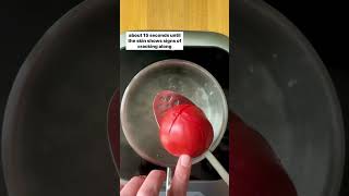 How to Seed Core and Peel Tomatoes Shorts [upl. by Ahsienod]