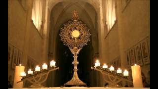 Questce que le Saint Sacrement  Réponse catholique [upl. by Ange]