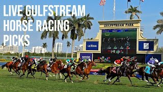 Live Gulfstream Park Horse Racing Picks [upl. by Yeslehc]