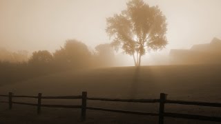 Aquascape  Sunrise in Fog Visualization [upl. by Esirec179]