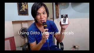 Using Ditto Looper on Vocals [upl. by Ardiedak673]